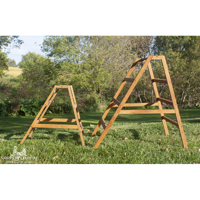 Coops & Feathers Portable AFrame Roosting Ladder & Reviews Wayfair